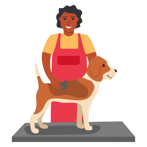 Pet Grooming Rajajinagar