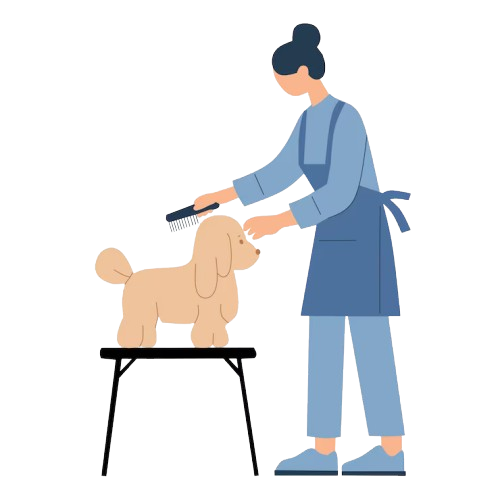 Professional Groomers Rajajinagar