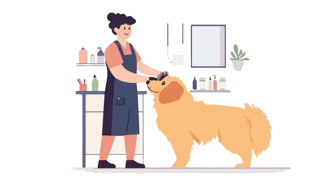 Breed Specific Grooming Rajajinagar