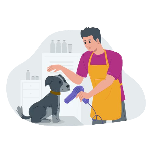 Grooming Packages Rajajinagar